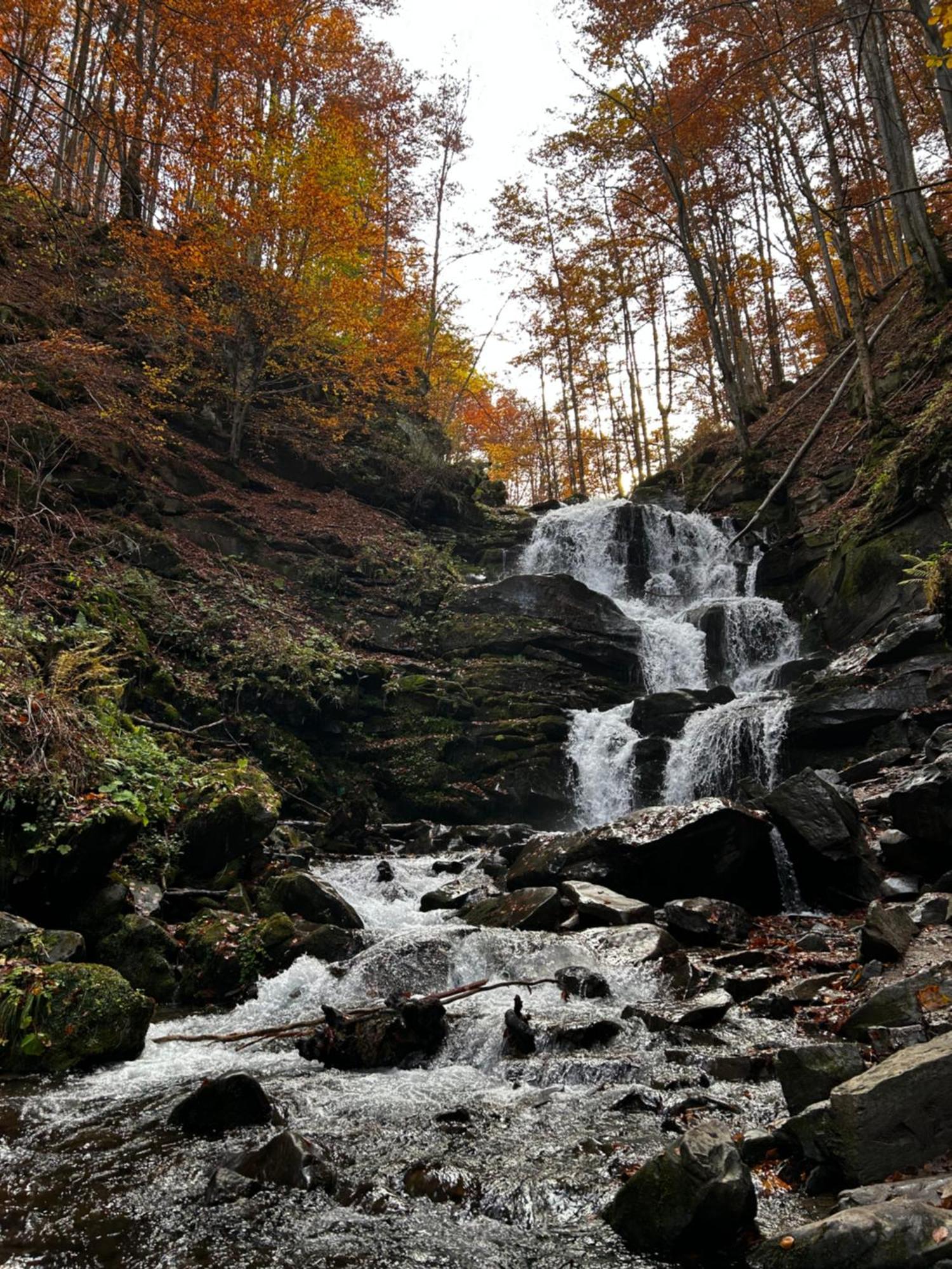 Вілла Смерекова Хата Pilipets Bagian luar foto